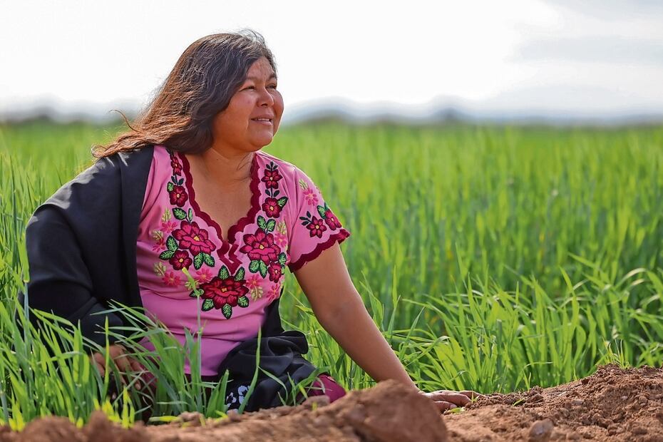 Anabela también es conocida como Jeka Ania, que significa mujer de voz chiquita en yaqui. Aunque ha viajado a diferentes partes del mundo, es en Vícam donde tiene su hogar y está pendiente de lo que pasa en su tribu. Foto: Javier Escibar