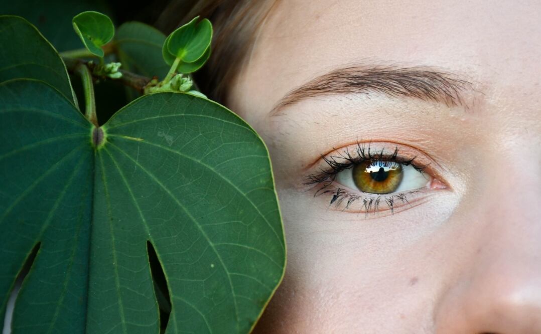 revitaliza tu mirada con el poder de la manzanilla Foto: Unsplash