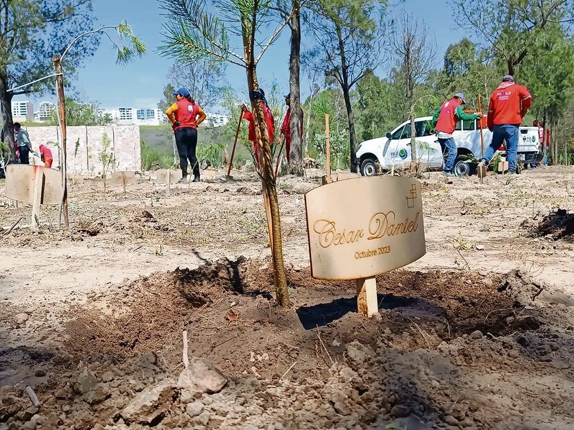 La iniciativa la conquistó pensando en contribuir a evitar el calentamiento
global y, además, dejar un legado para su hijo, refirió Jimena. Foto: de  Xochiquetzal Rangel