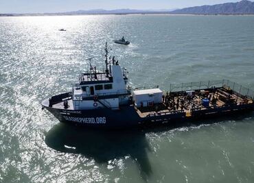 Este es el Seahorse, el nuevo barco para proteger a la vaquita marina de la pesca ilegal