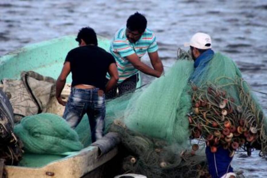 Pescadores de tiburón retaron al mar por necesidad; no volvieron