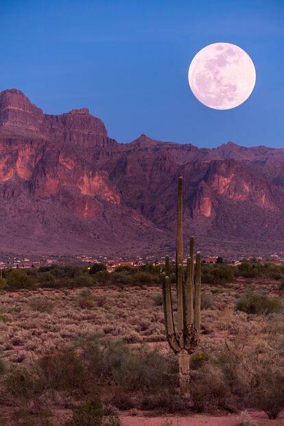 La luna rosa ocurre después del equinoccio de primavera. Foto: Unsplash