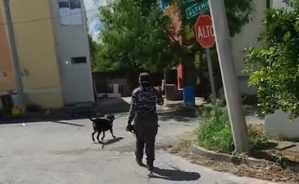 Binomios caninos participan en búsqueda de Ana Luisa, menor de 15 años desaparecida en Reynosa, Tamaulipas