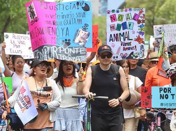 Exigen protección animal en CDMX; activistas marchan en Reforma