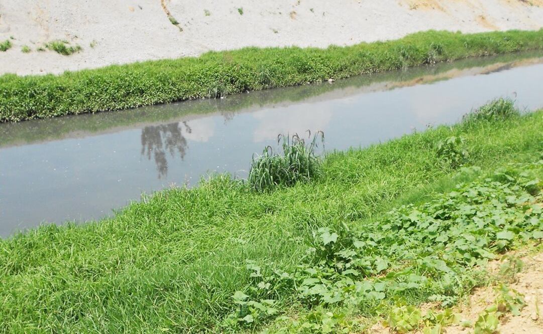 Foto: Archivo / EL UNIVERSAL