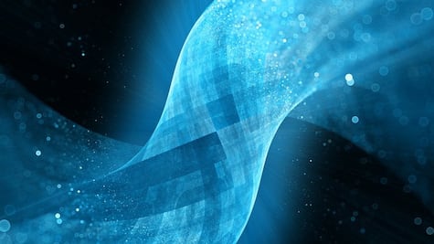 El material natural que Finlandia está utilizando para reemplazar el plástico