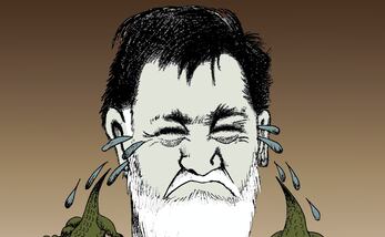Cartón de KEMCHS