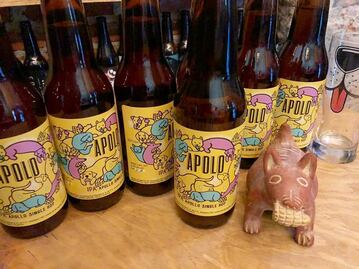 La cerveza mexicana al rescate de los perros abandonados