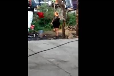 Indigna video de mujer colgando a un perro de un árbol