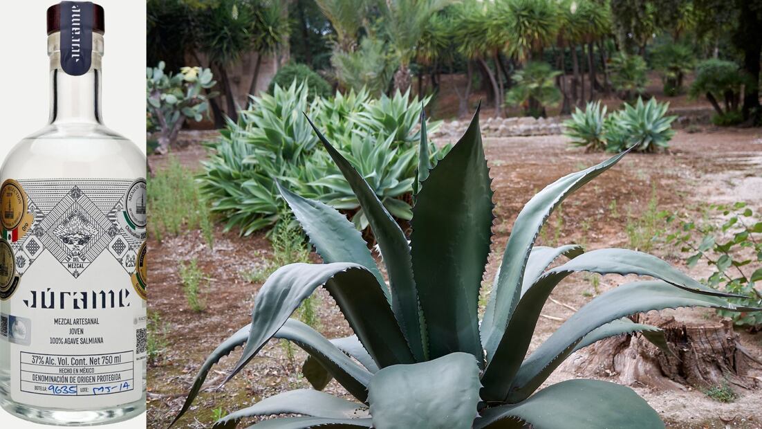 Mezcal Artesanal Joven Salmiana Júrame. Foto: Especial