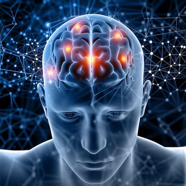 Revelaciones clave sobre la maduración neuronal. Fuente: Freepik.