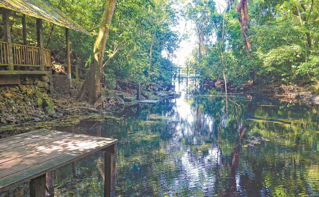 Foto: Archivo/ EL UNIVERSAL