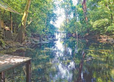 Clausuran tres predios forestales en reserva de la Biosfera de Los Tuxtlas de Veracruz
