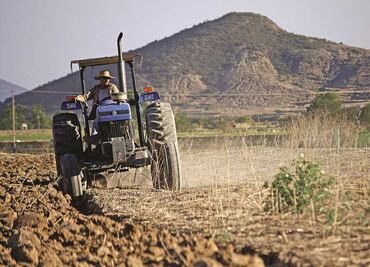 Rubén Rocha destaca a Sinaloa como la única entidad con inversión millonaria en fertilizantes