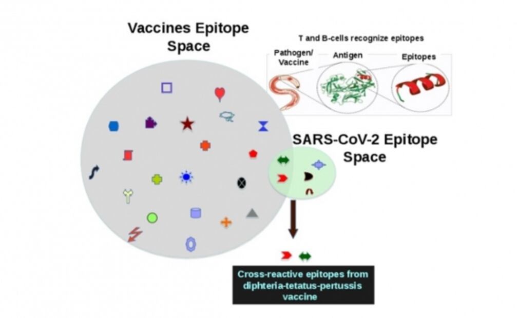 Estudio dice que la vacuna pediátrica DTP puede proteger del Covid-19