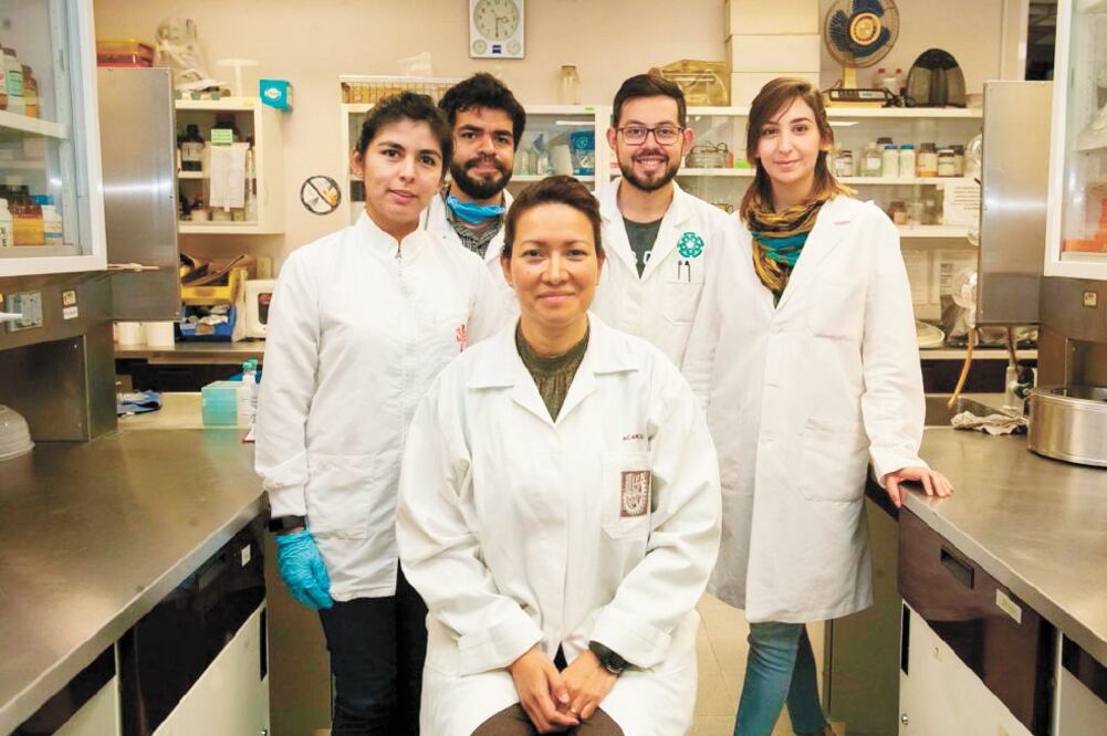 La terapia consiste en aplicar en el cuello del útero un fármaco, que después de cuatro horas se transforma en una sustancia fluorescente que se acumula en las células dañadas, lo cual permite eliminarlas con un rayo láser, sin afectar otro tejido. (ESPE)