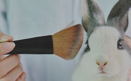 Animal testing, is there any other option?