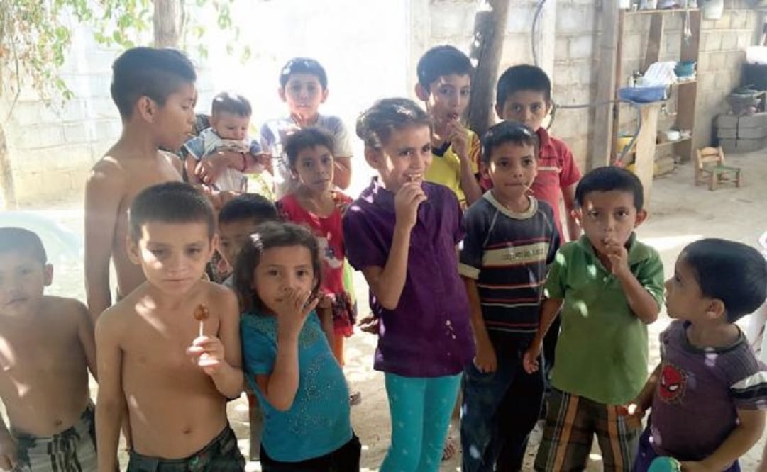 Since 2011, 155 families have been displaced from Coyuca de Catalán, according to the Human Rights Center of the Mountain. (Photo: Vania Pigeounutt) 