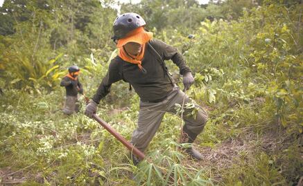 Cártel de Sinaloa y CJNG se disputan Guatemala y Perú