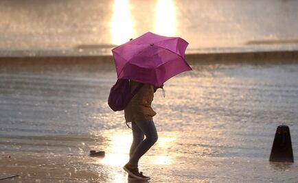 Caída de árboles, de lona y de stand, el saldo por lluvias este sábado en CDMX