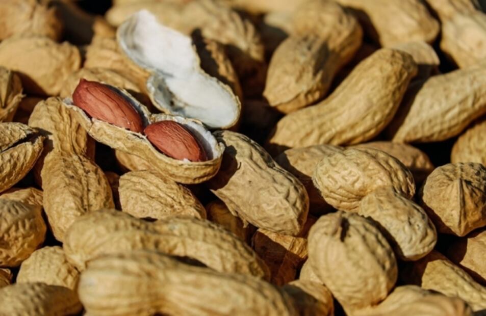 La importancia de incluir grasas buenas en tu alimentación