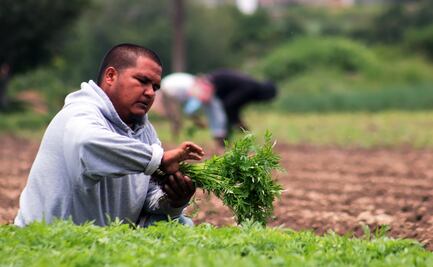 CNA advierte que defenderá el acceso de agroalimentos mexicanos al mercado de EU