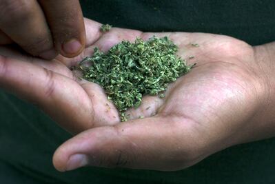 Marihuana divide la postura de delegados