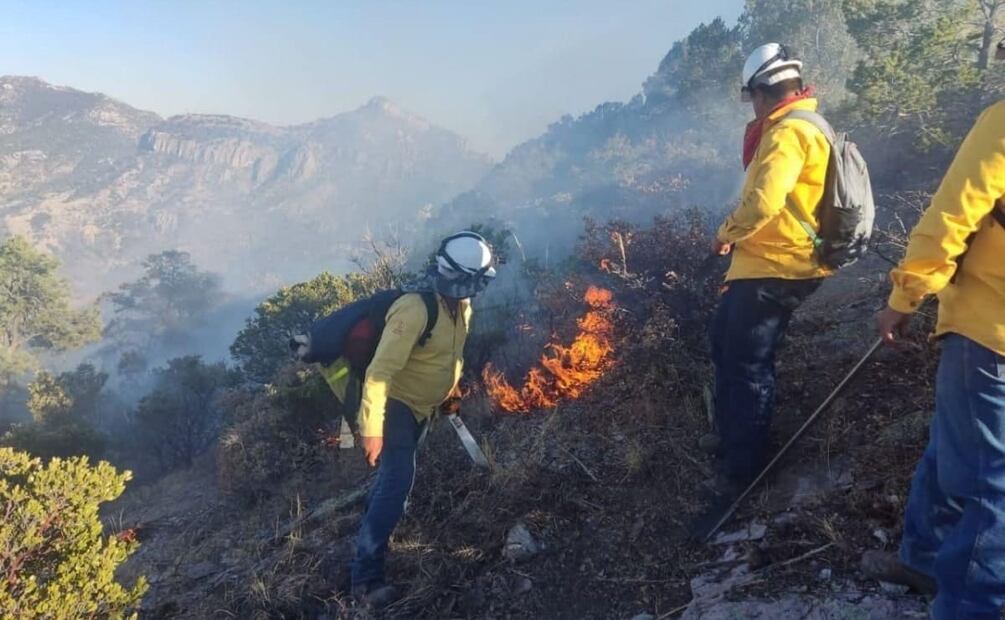 Los municipios de Chihuahua que presentan el mayor número de incendios en esta temporada son: Guadalupe y Calvo con 121 Foto: Especial