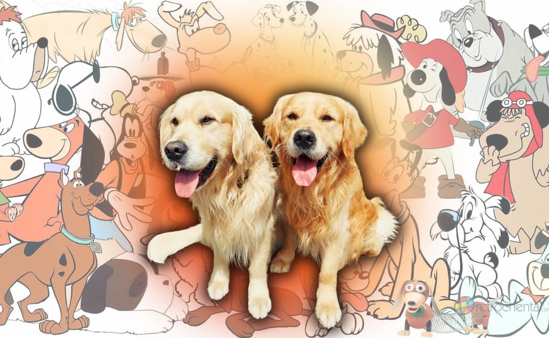 Conoce los personajes perrunos más emblemáticos del mundo de la televisión. Foto: X