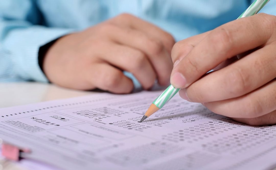 Alimentación y memoria. Fuente: Pixabay