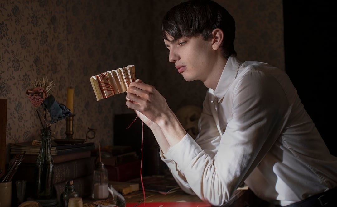 El poder del perro. Fotos: Cortesía