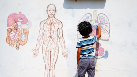 TNT mira hacia las telenovelas