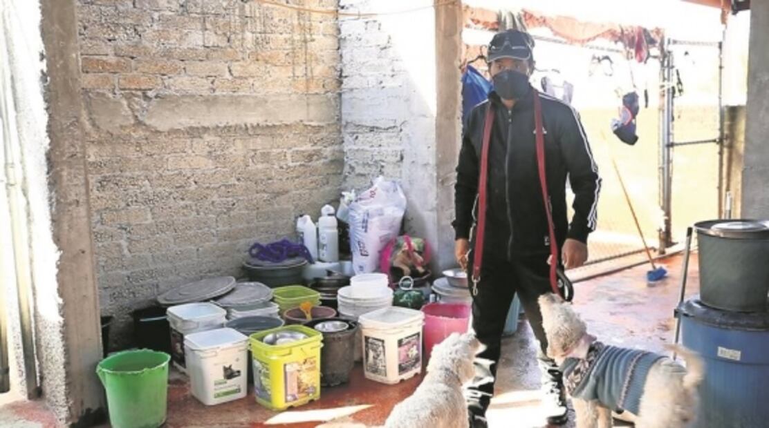 Caminando a su lado: espacio de amor para lomitos