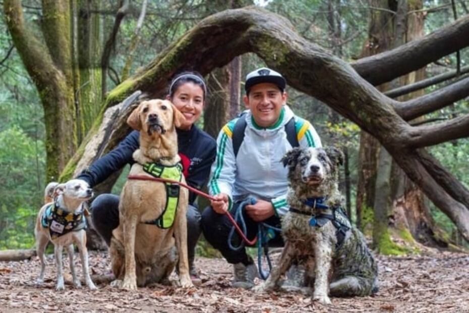 Lánzate con tu perro a esta caminata en el bosque de la CDMX 