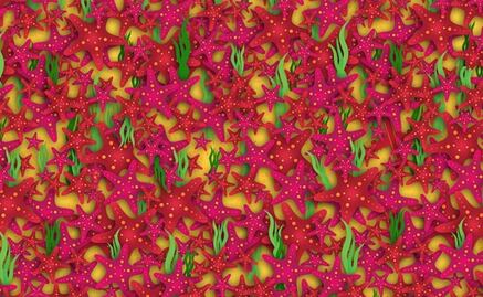 Imagen viral. Encuentra la figura perdida 