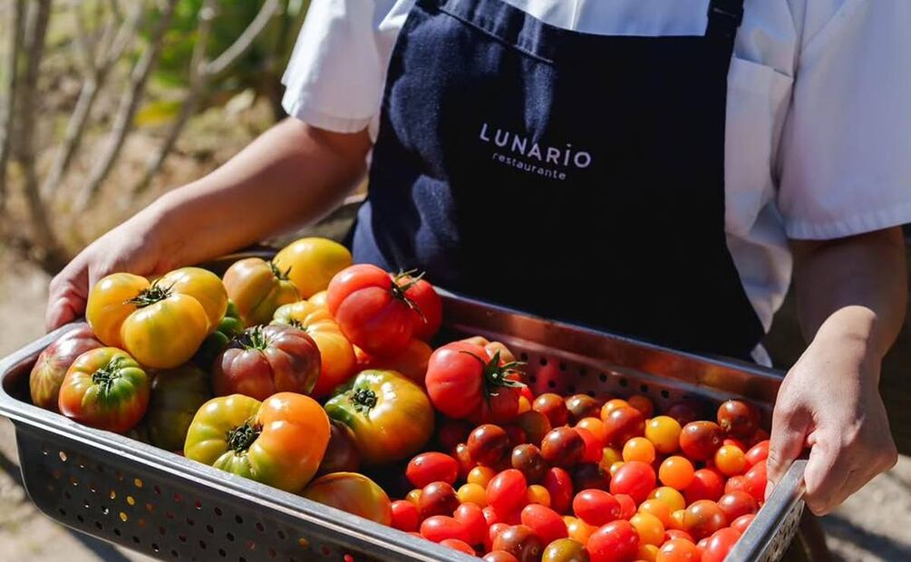 Sheyla Alvarado, la chef de Lunario, el restaurante sostenible de Valle de Guadalupe. Foto: Instagram