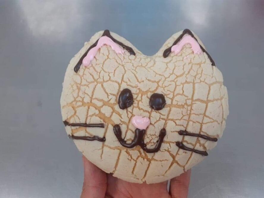 Las Michi Conchas no contienen productos de origen animal / Foto: Cortesía Panadería "Libres x Siempre"