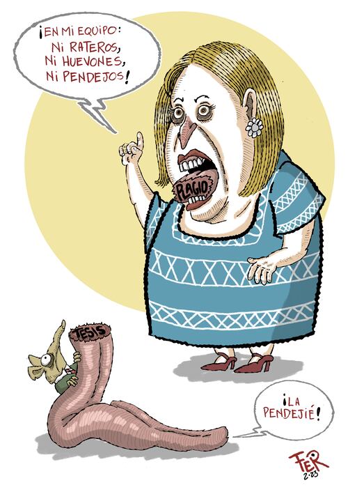 Cartón de FER