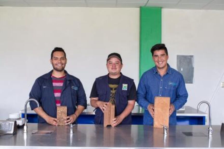 Michoacano crea ladrillos con nopal 