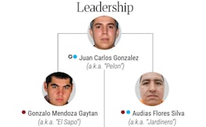 Estructura principal del Cártel Jalisco Nueva Generación (CJNG). Foto: Departamento del Tesoro de Estados Unidos