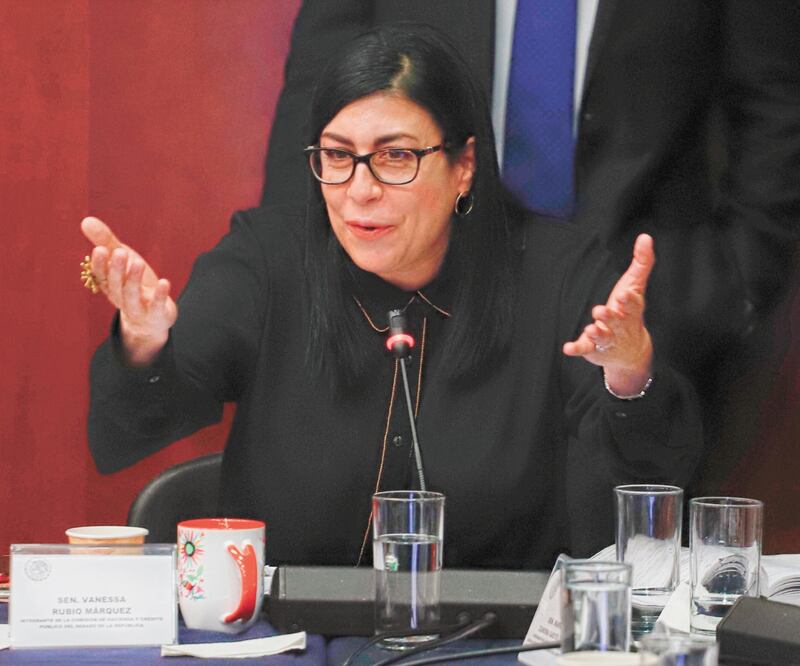La senadora Vanessa Rubio criticó el planteamiento para que el Banco del Bienestar administre en una sola Afore los recursos para el retiro. Foto: ARCHIVO EL UNIVERSAL