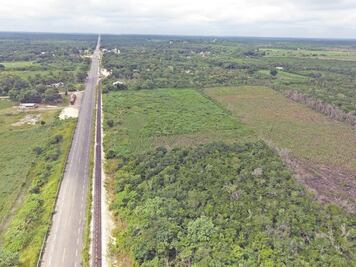 Tren Maya: van a ciegas a consulta de megaproyecto de AMLO, acusan