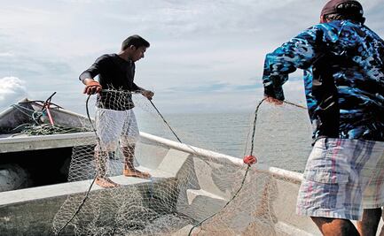 Pescadores de Yucatán proponen flexibilizar vedas para mejorar productividad tras Covid-19
