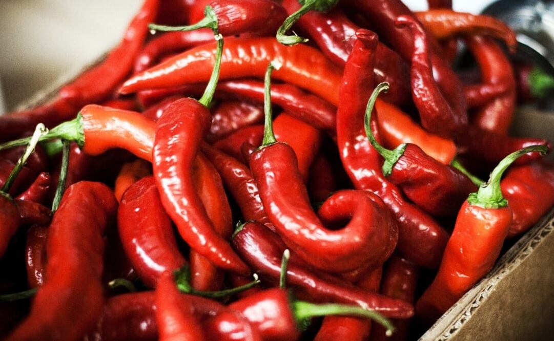 Chilies contain vitamins A and C, which help prevent problems in gums and teeth - Photo: File Photo/EL UNIVERSAL
