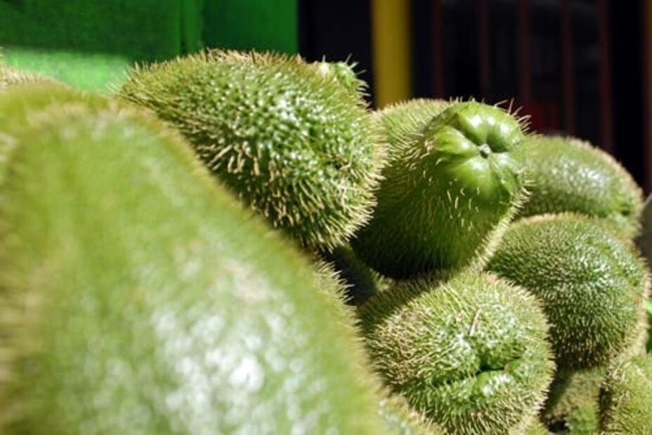 Conoce los beneficios de comer chayote todos los días