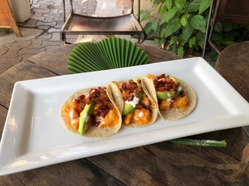 Tres ideas para preparar pescados y mariscos en casa