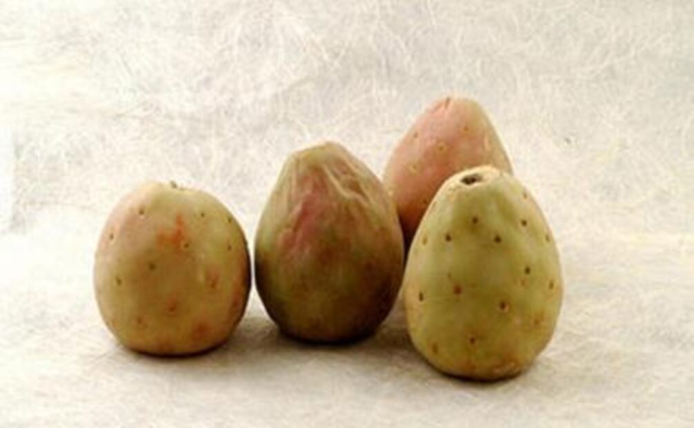 Científicos estudian plantas mexicanas para combatir la obesidad