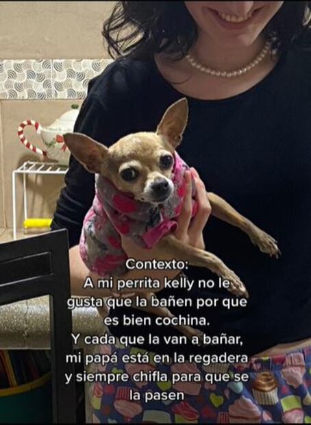 TikTok: La particular venganza de una perrita cuando la obligan a bañarse