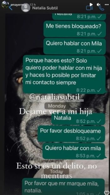 Sergio Mayer Mori filtra mensajes con Nátalia Subtil: "Desbloquéame, quiero hablar con mi hija"