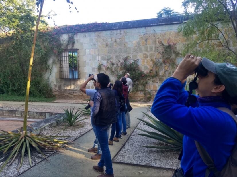 Pajarear, la actividad de antaño para proteger a las aves
